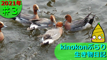 Thumbnail of post image 025